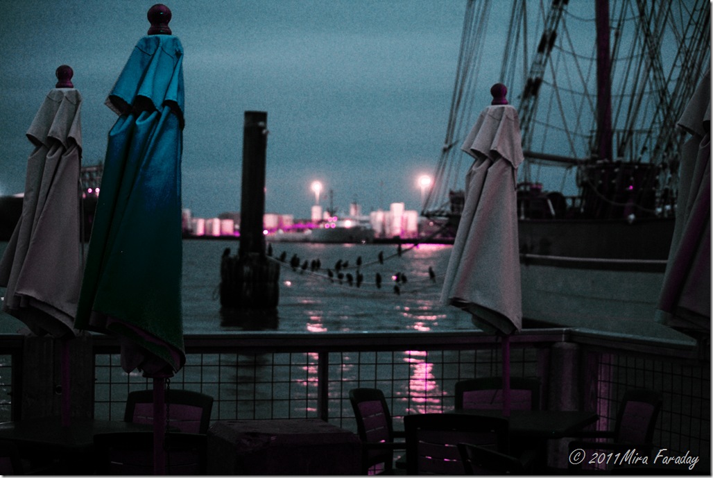 colorinfrared1warf